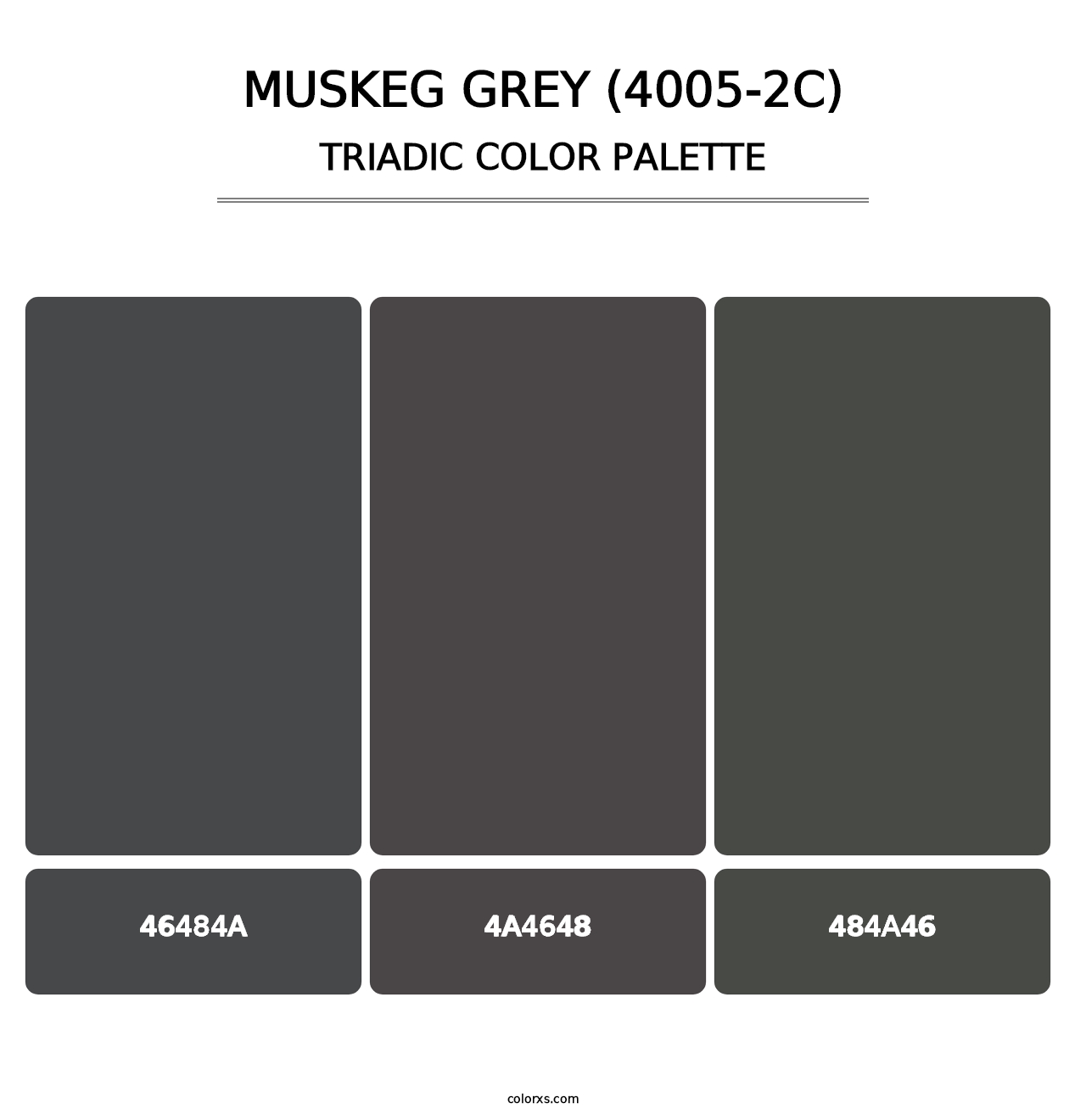 Muskeg Grey (4005-2C) - Triadic Color Palette