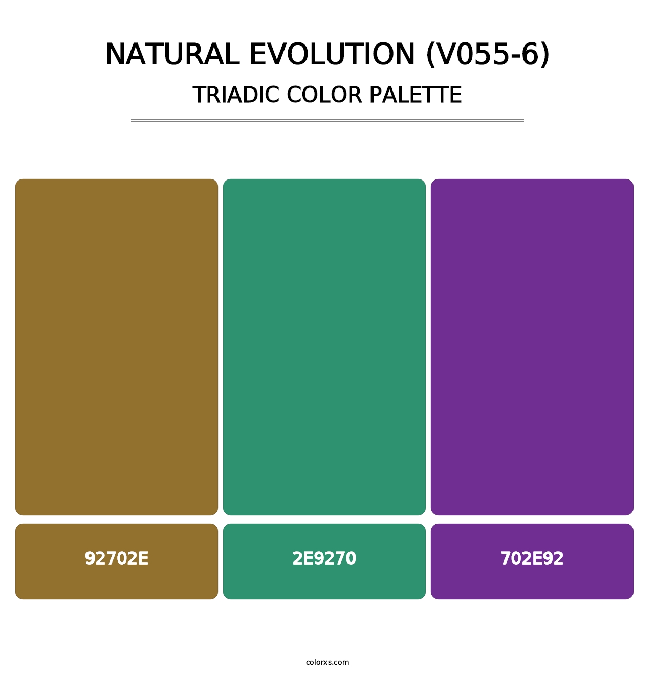 Natural Evolution (V055-6) - Triadic Color Palette