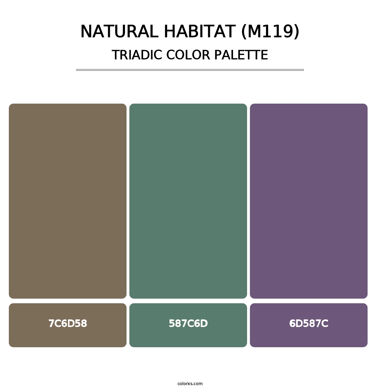 Natural Habitat (M119) - Triadic Color Palette