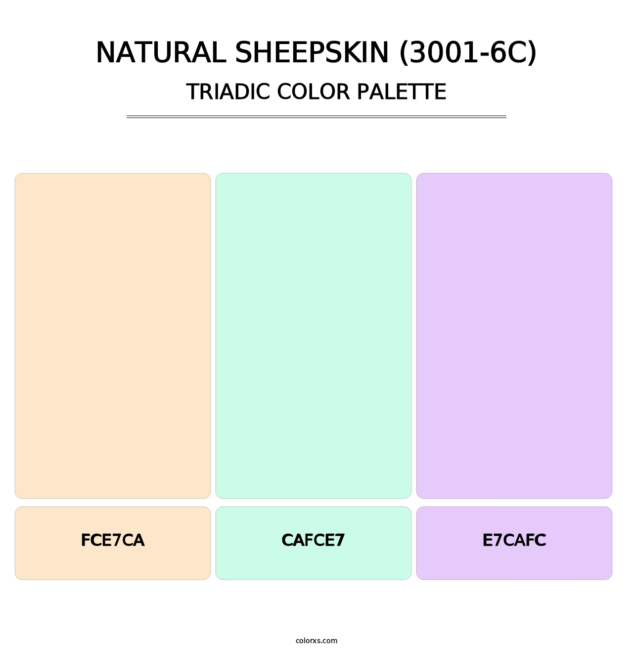 Natural Sheepskin (3001-6C) - Triadic Color Palette