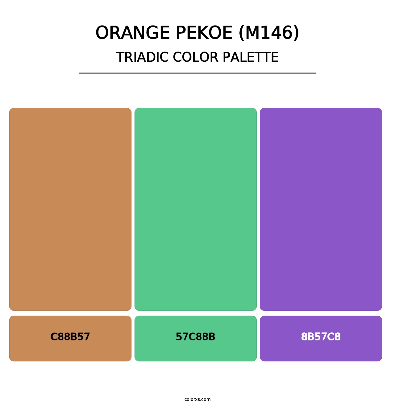 Orange Pekoe (M146) - Triadic Color Palette
