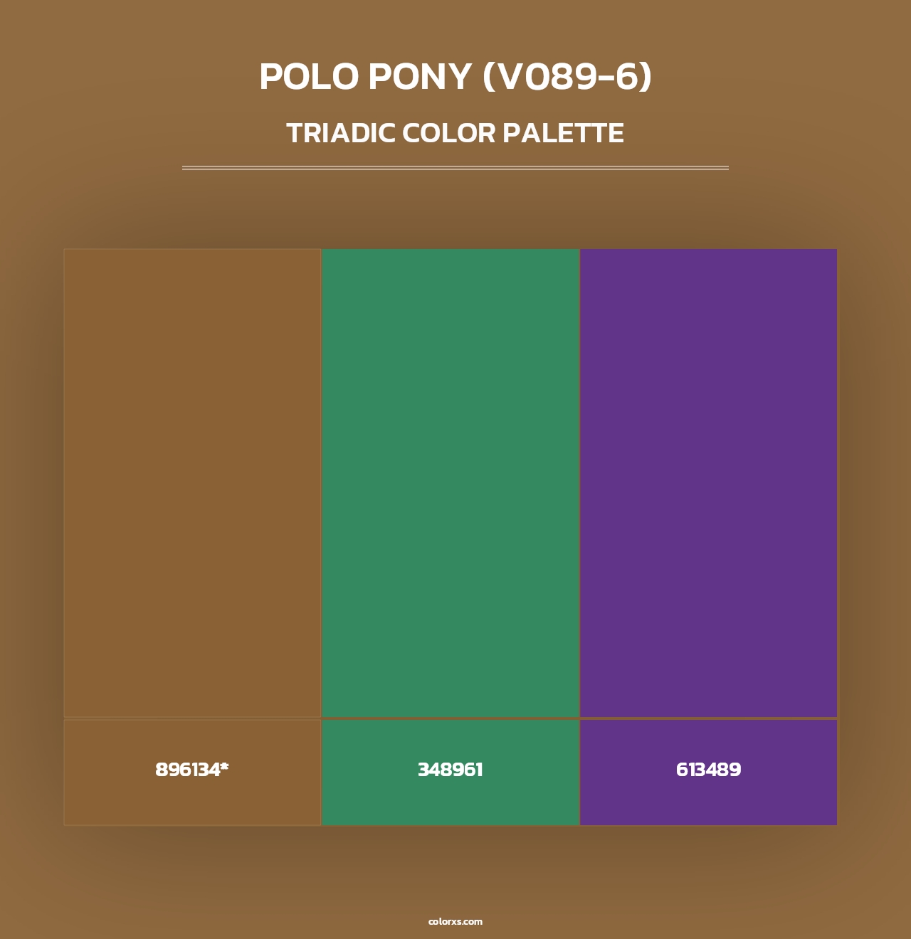 Polo Pony (V089-6) - Triadic Color Palette