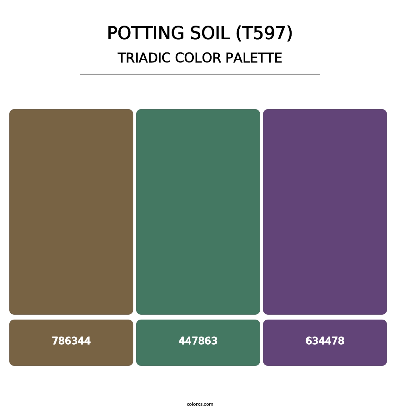 Potting Soil (T597) - Triadic Color Palette