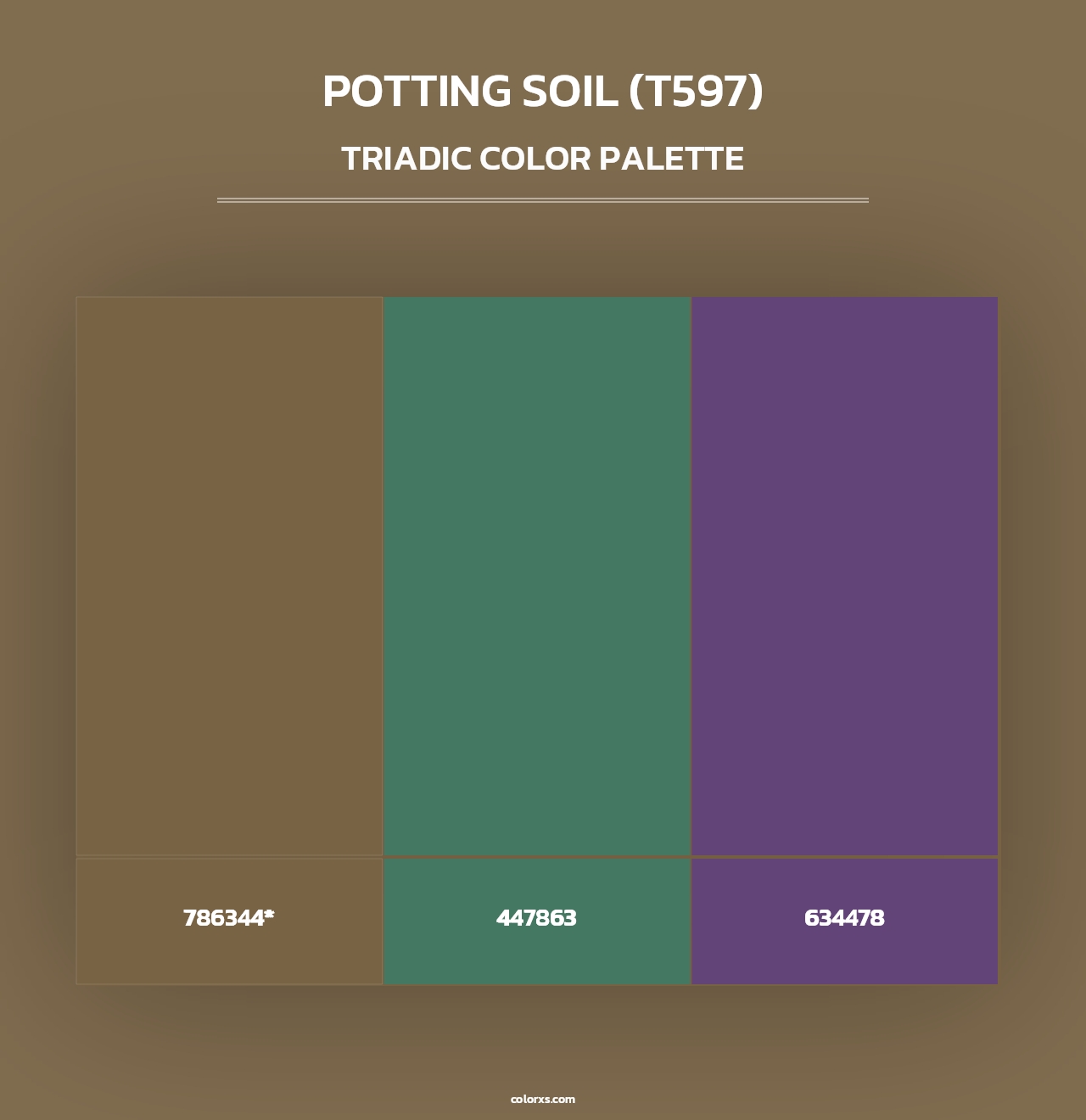 Potting Soil (T597) - Triadic Color Palette