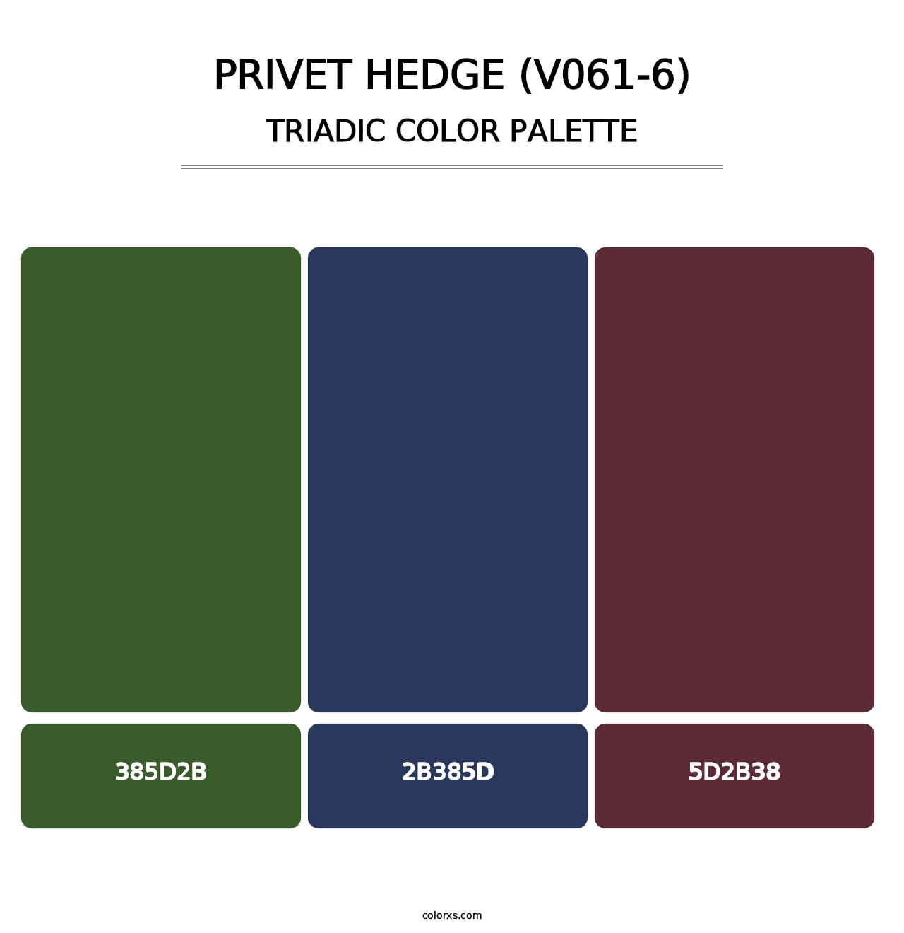 Privet Hedge (V061-6) - Triadic Color Palette