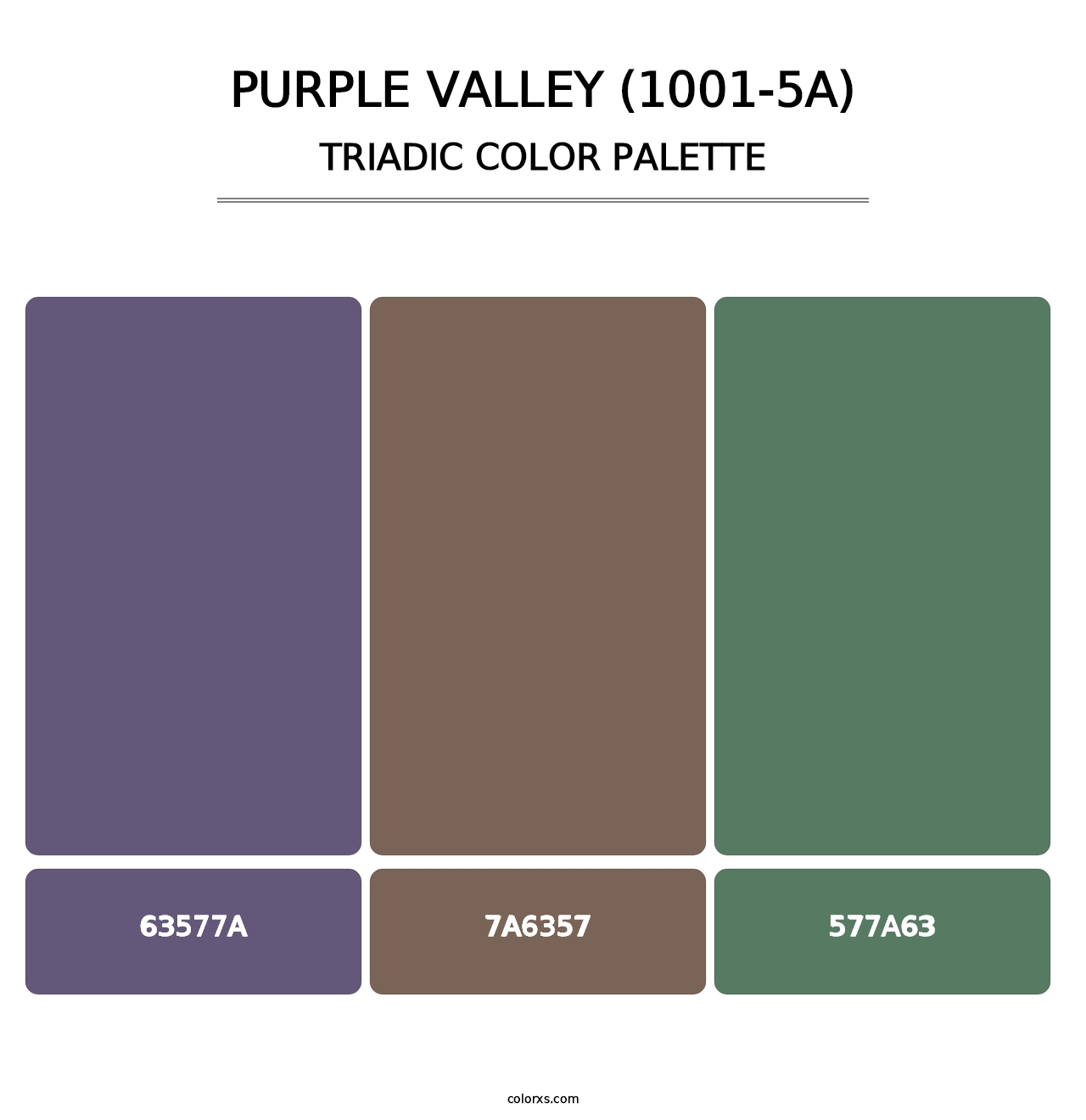 Purple Valley (1001-5A) - Triadic Color Palette