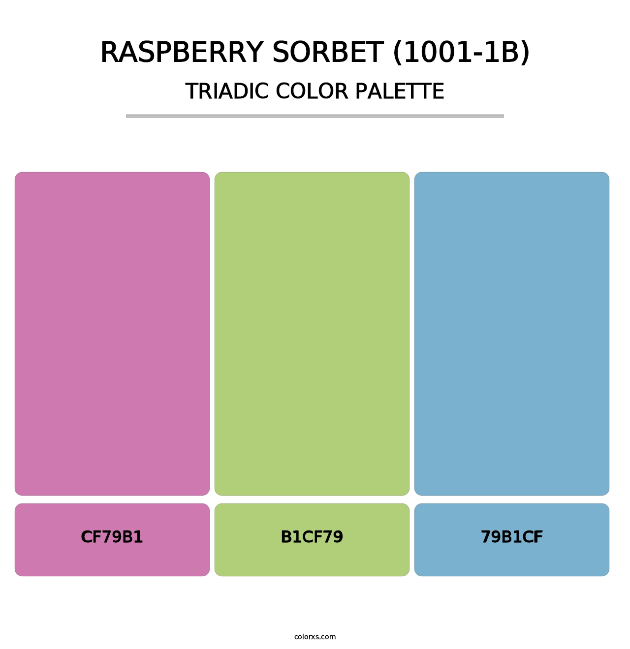 Raspberry Sorbet (1001-1B) - Triadic Color Palette