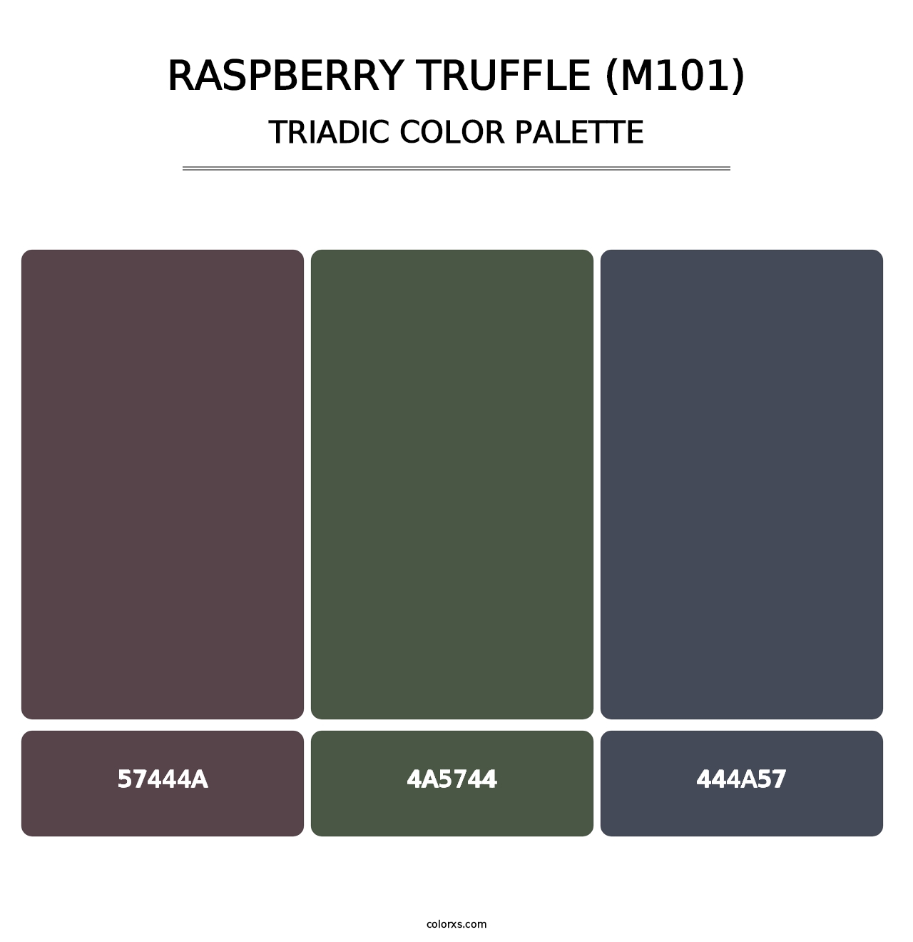 Raspberry Truffle (M101) - Triadic Color Palette