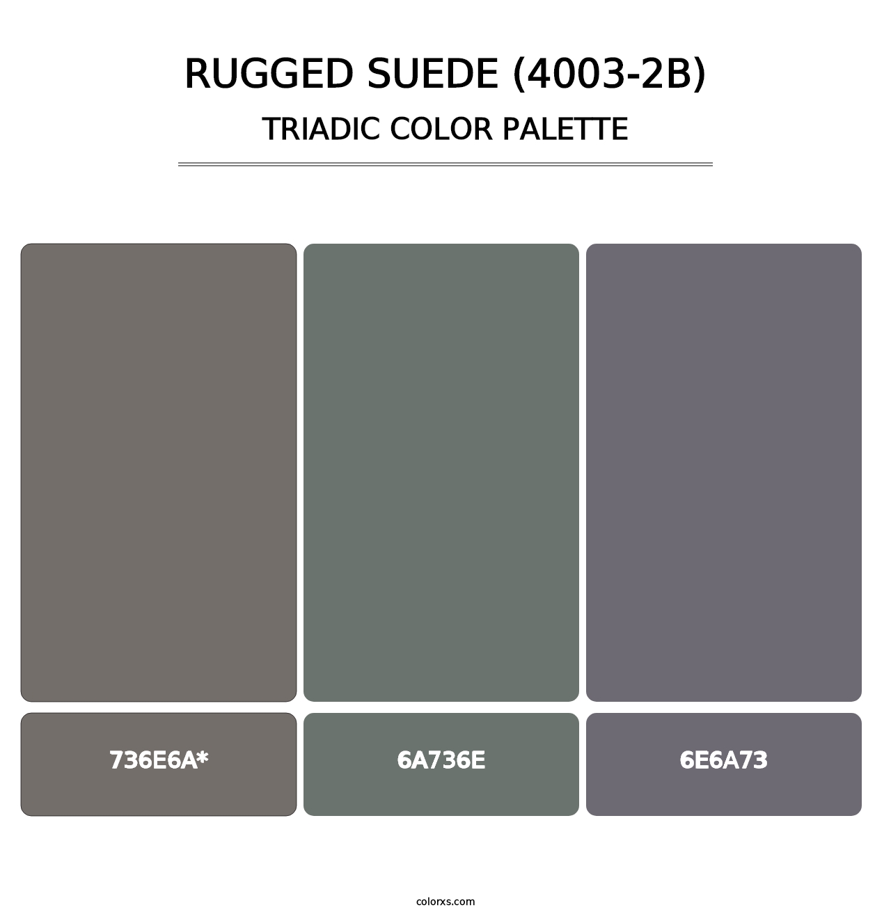 Rugged Suede (4003-2B) - Triadic Color Palette