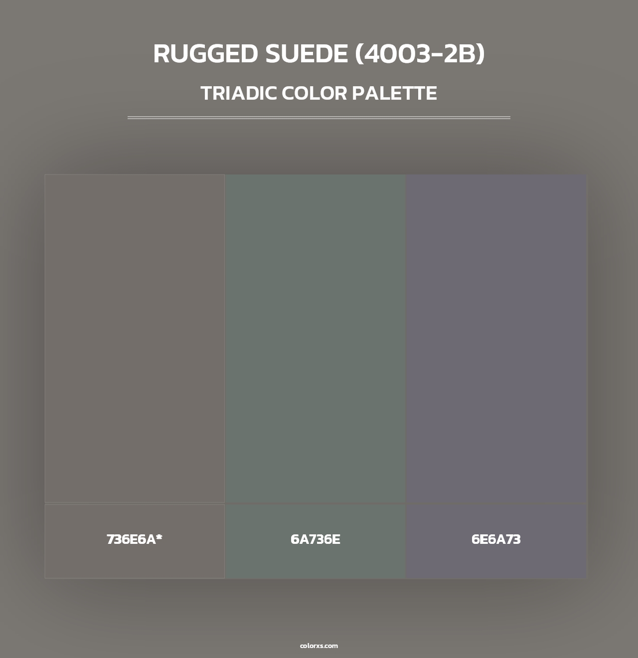 Rugged Suede (4003-2B) - Triadic Color Palette