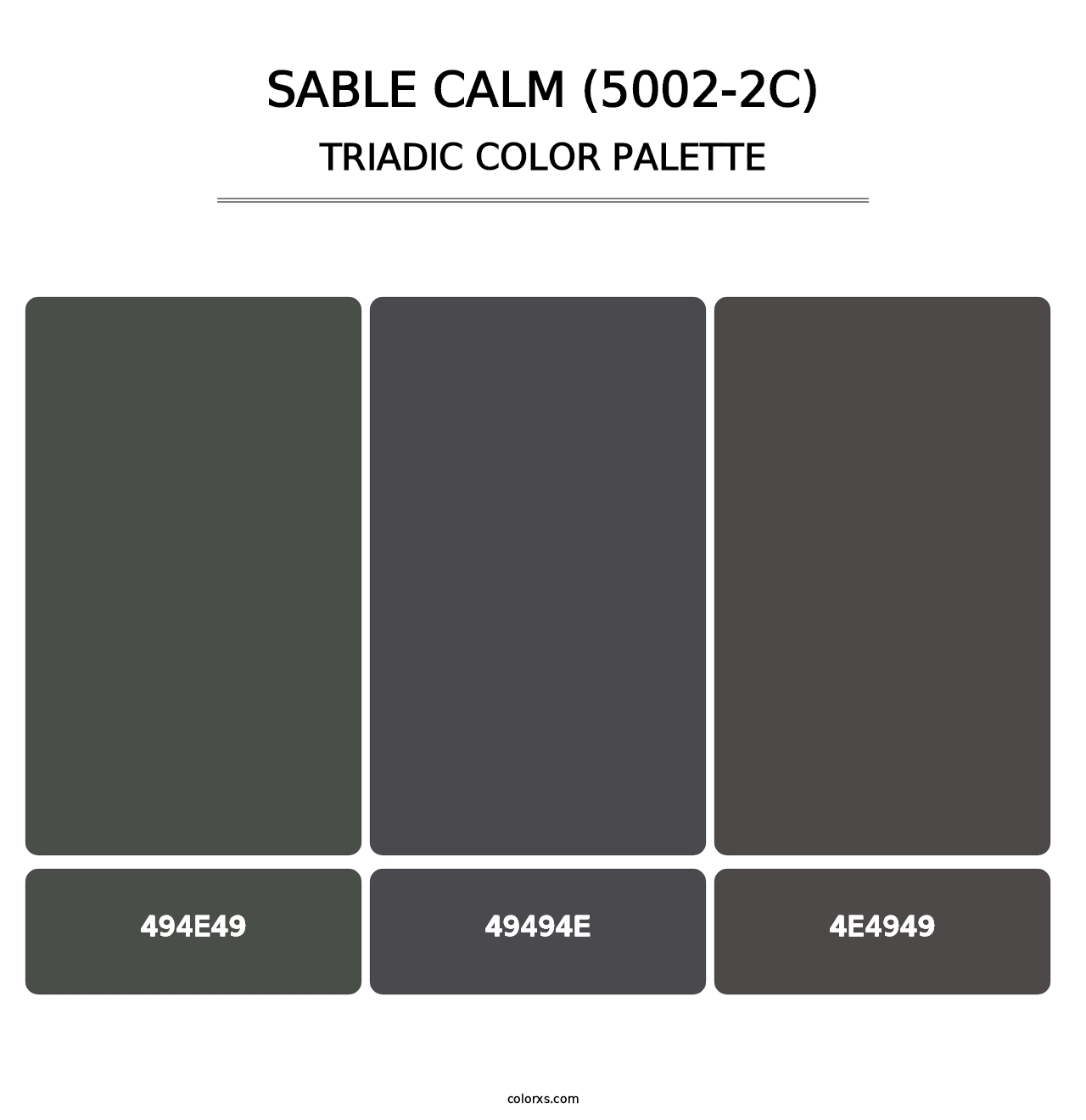 Sable Calm (5002-2C) - Triadic Color Palette
