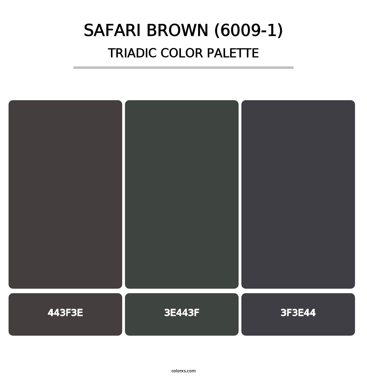 Safari Brown (6009-1) - Triadic Color Palette