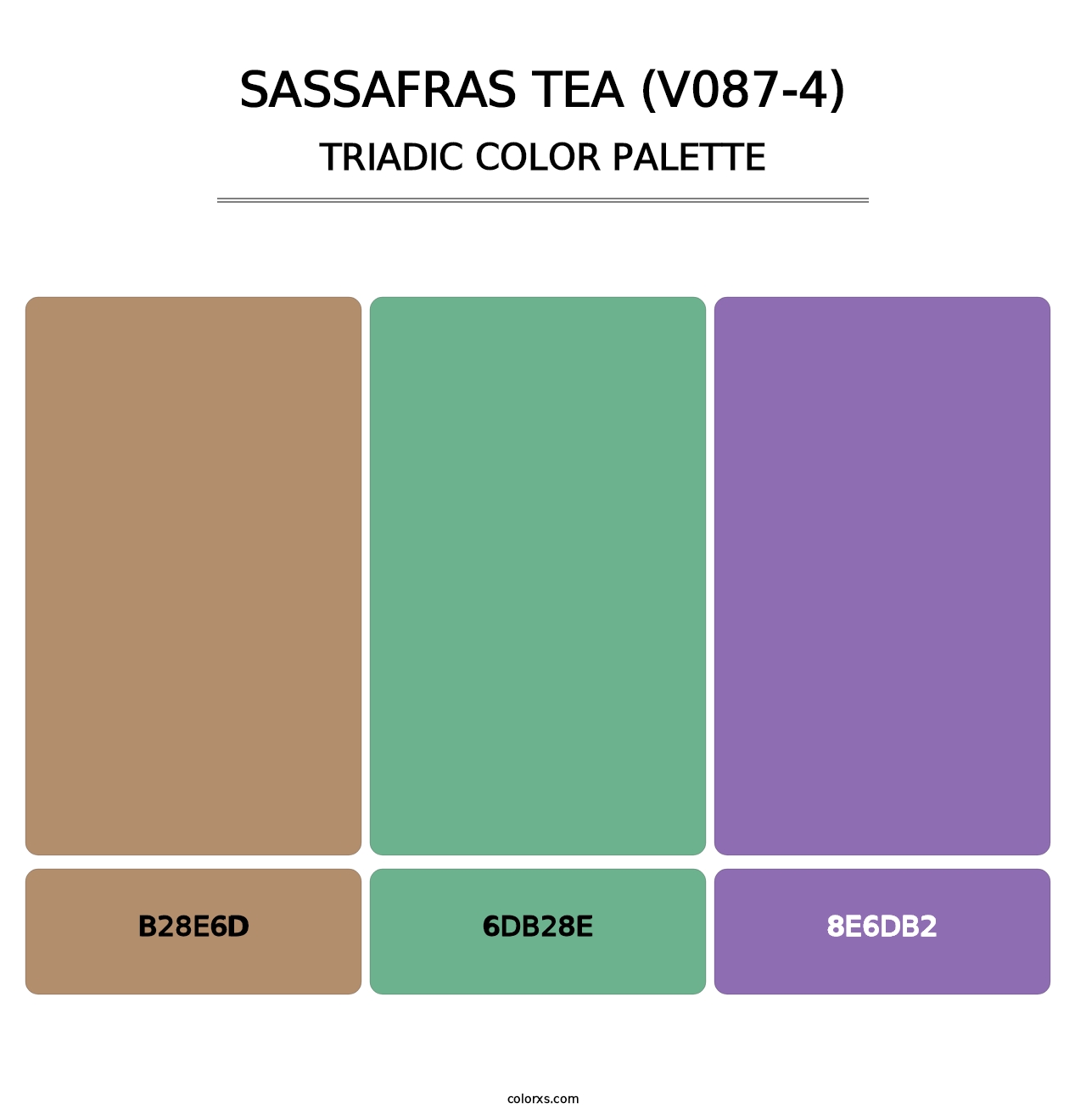 Sassafras Tea (V087-4) - Triadic Color Palette