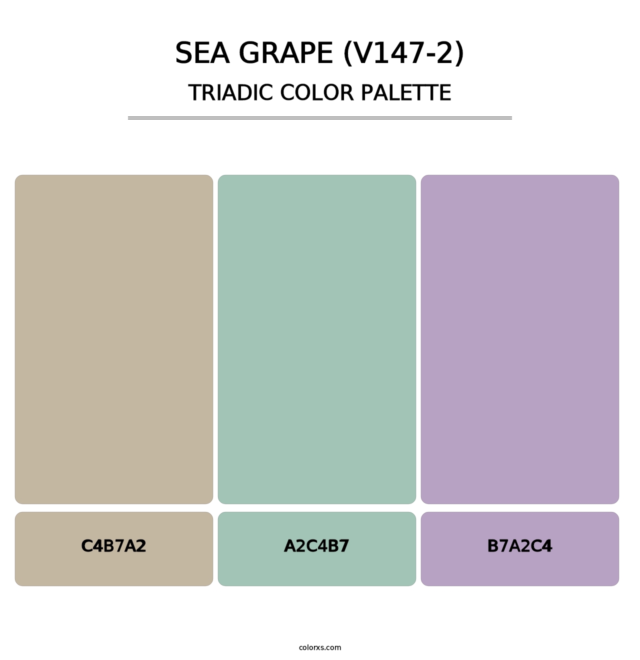 Sea Grape (V147-2) - Triadic Color Palette
