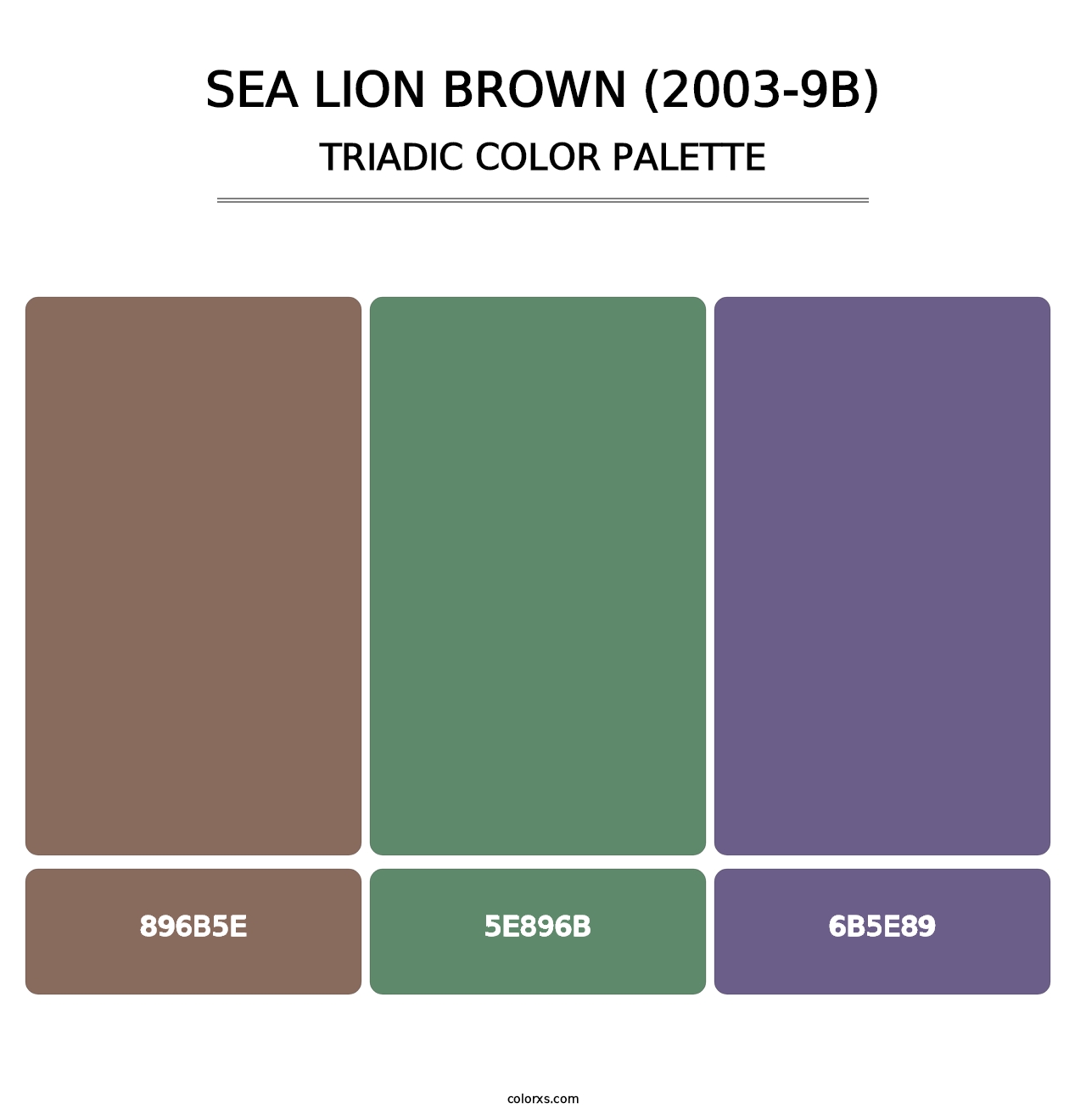 Sea Lion Brown (2003-9B) - Triadic Color Palette