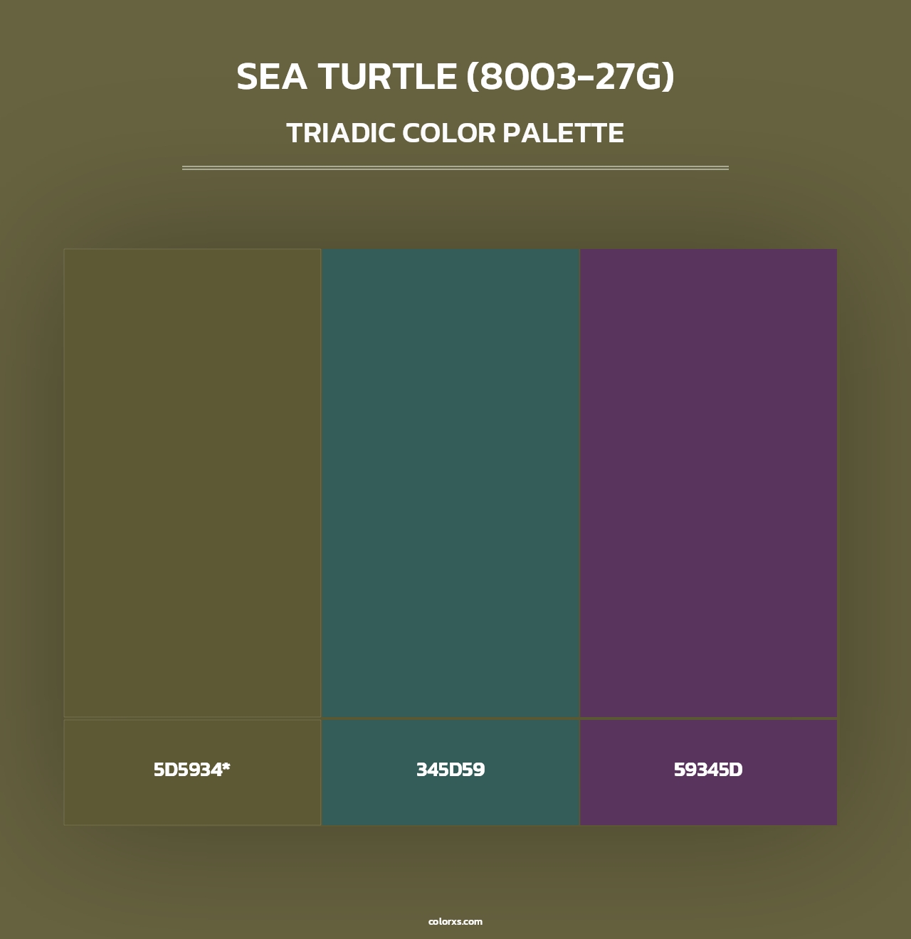 Sea Turtle (8003-27G) - Triadic Color Palette