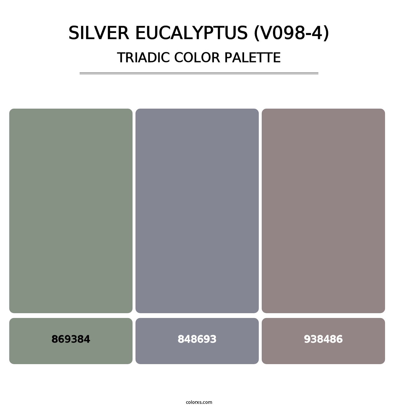 Silver Eucalyptus (V098-4) - Triadic Color Palette