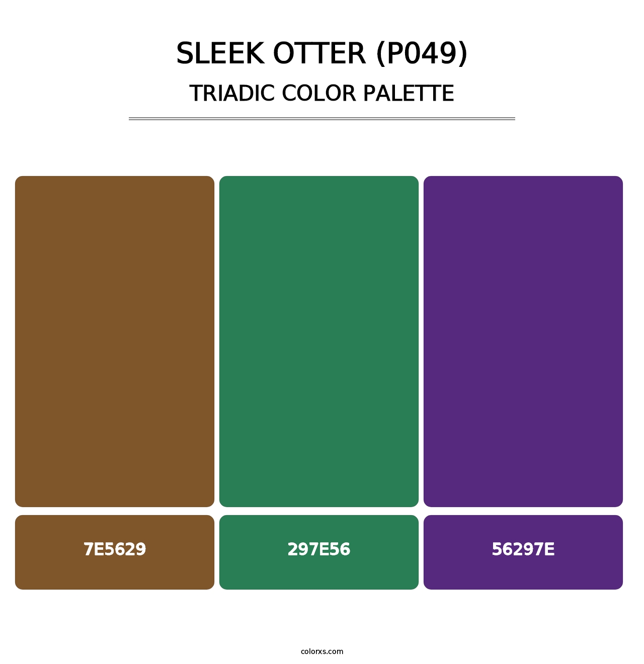 Sleek Otter (P049) - Triadic Color Palette