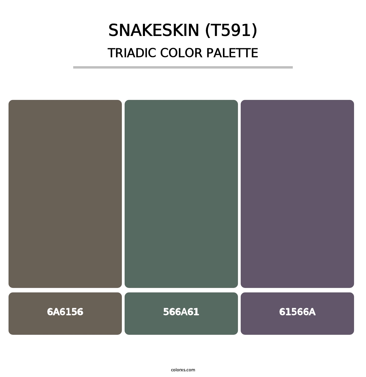 Snakeskin (T591) - Triadic Color Palette