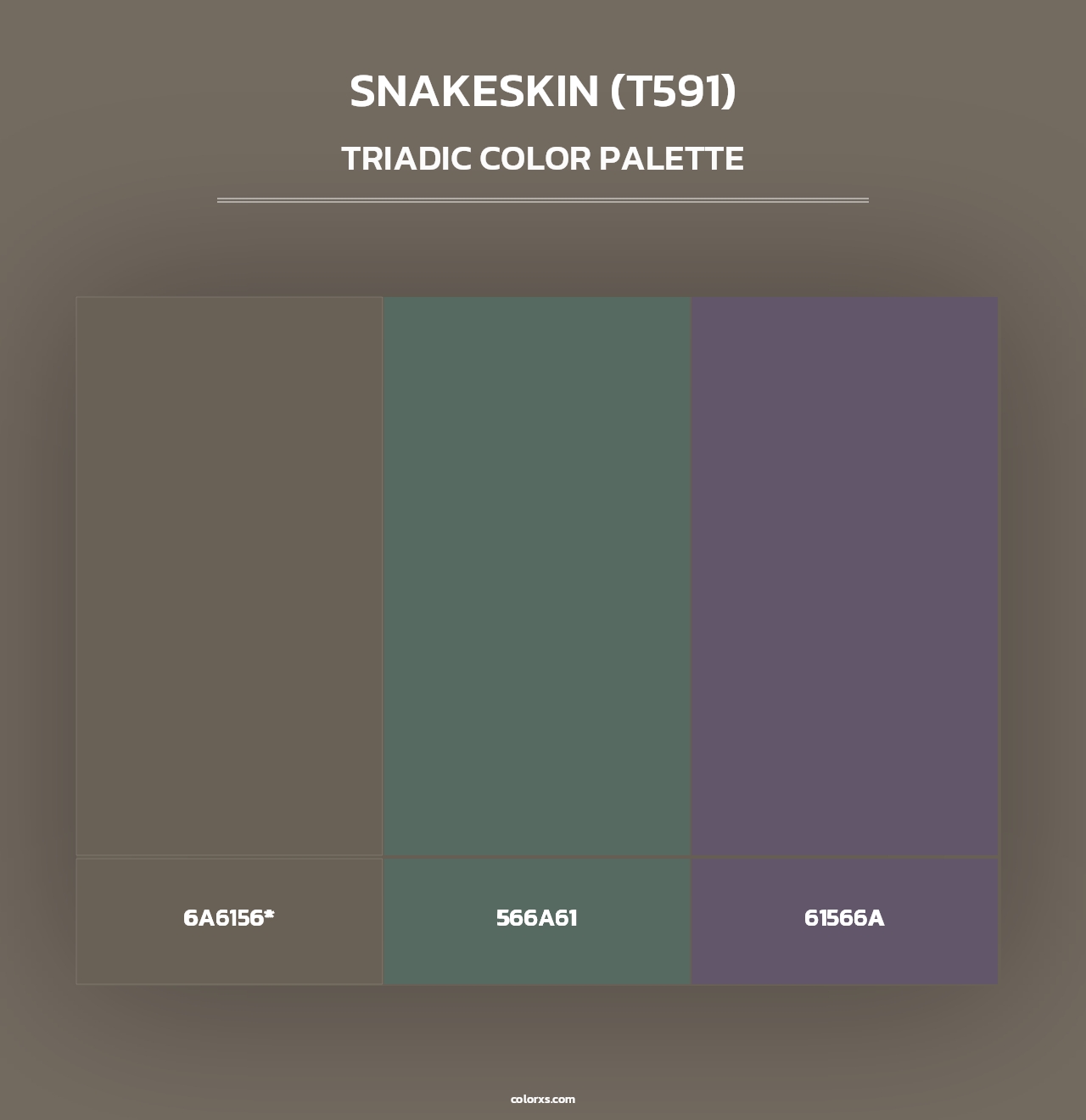 Snakeskin (T591) - Triadic Color Palette
