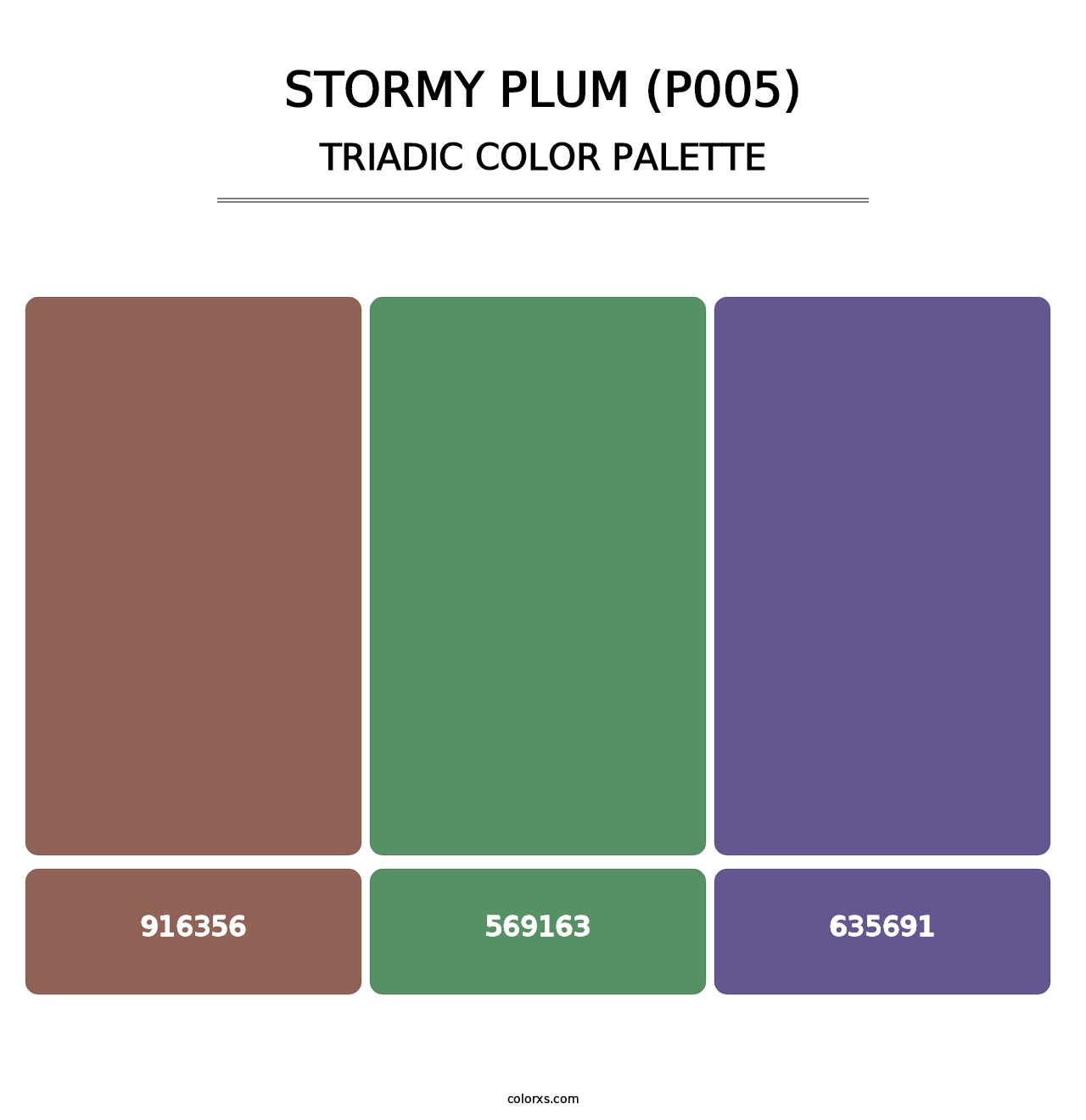 Stormy Plum (P005) - Triadic Color Palette