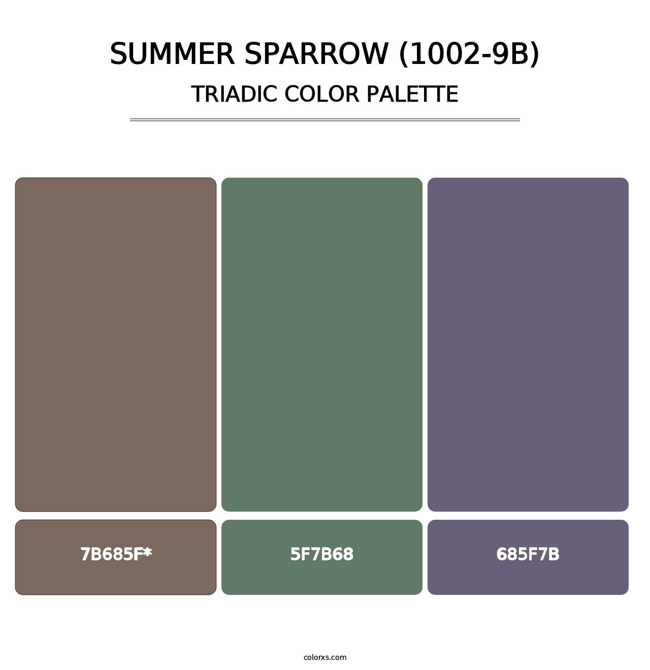 Summer Sparrow (1002-9B) - Triadic Color Palette