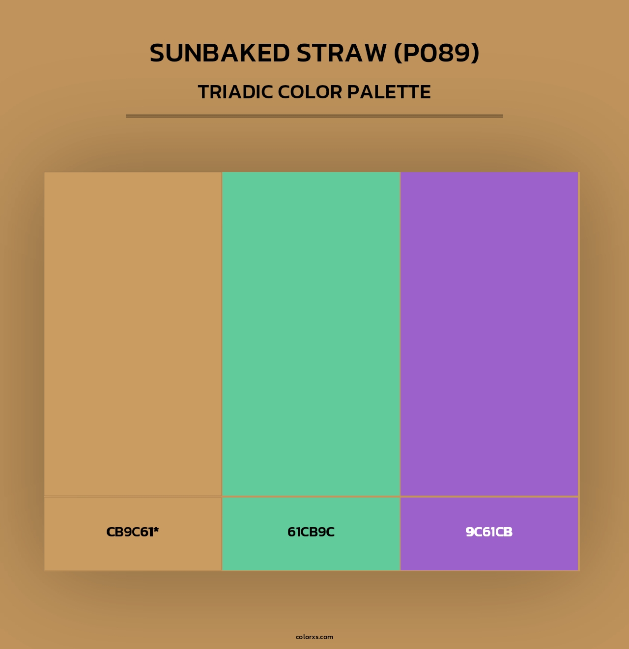 Sunbaked Straw (P089) - Triadic Color Palette