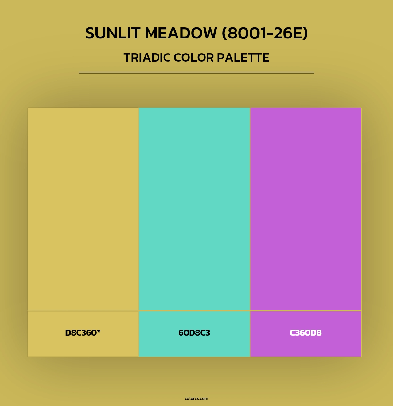 Sunlit Meadow (8001-26E) - Triadic Color Palette