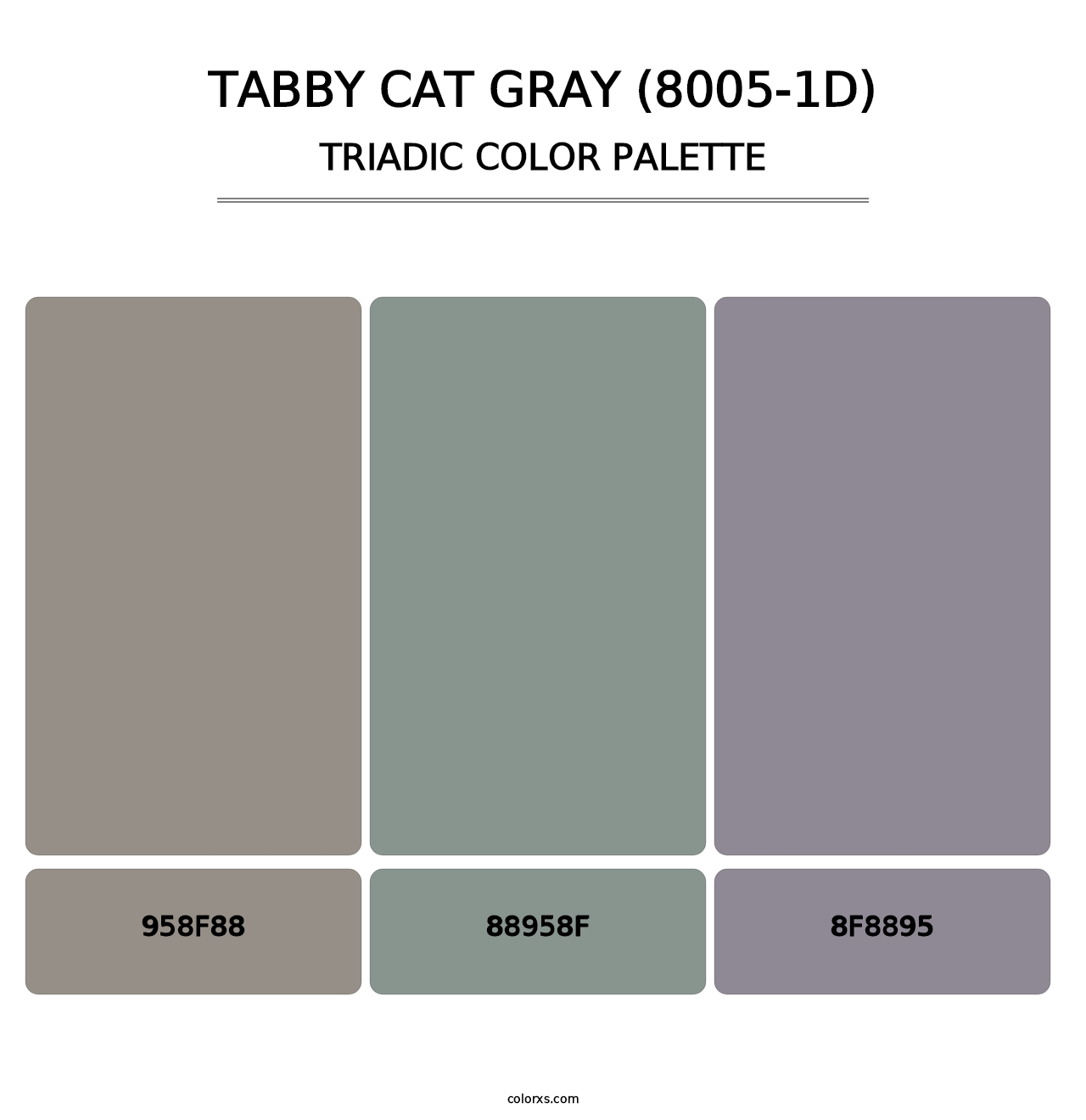 Tabby Cat Gray (8005-1D) - Triadic Color Palette