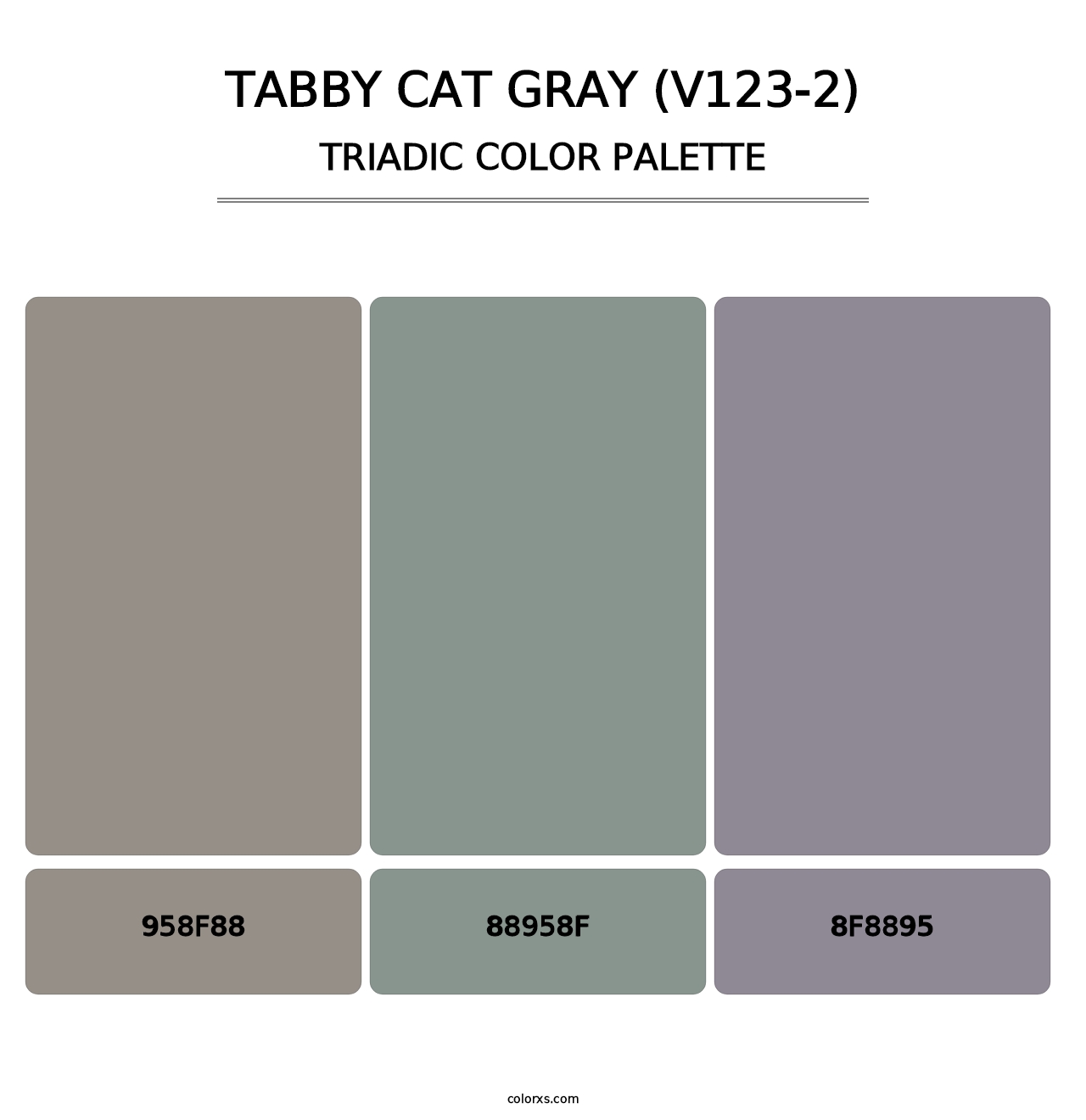 Tabby Cat Gray (V123-2) - Triadic Color Palette