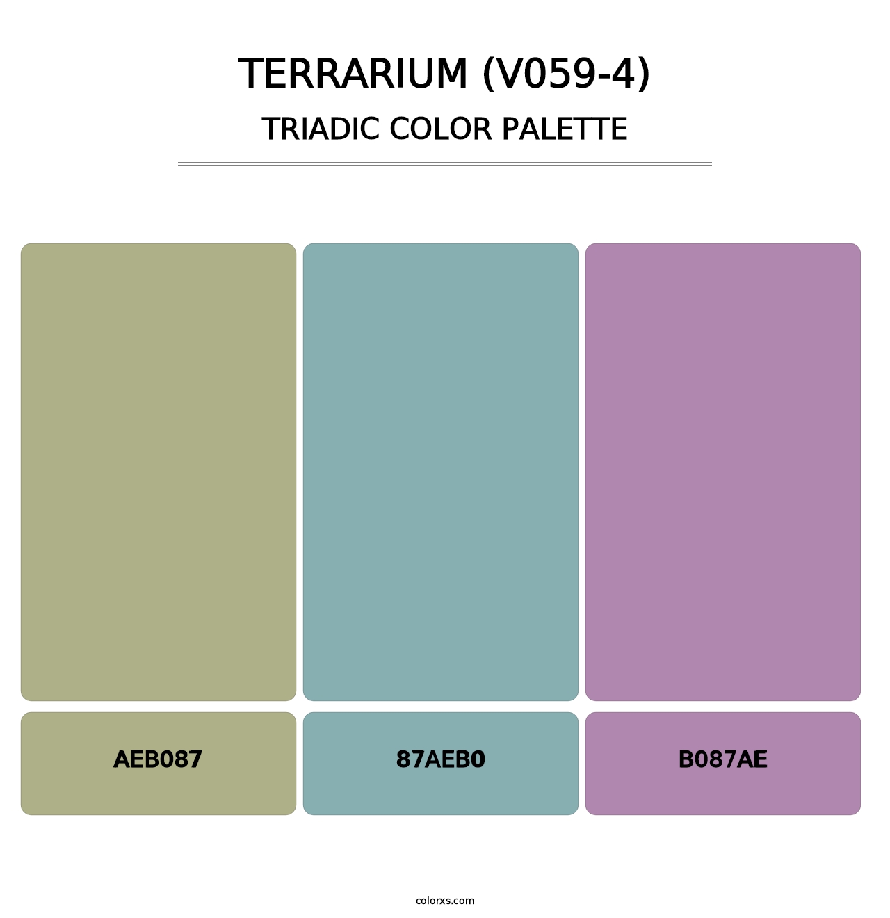 Terrarium (V059-4) - Triadic Color Palette