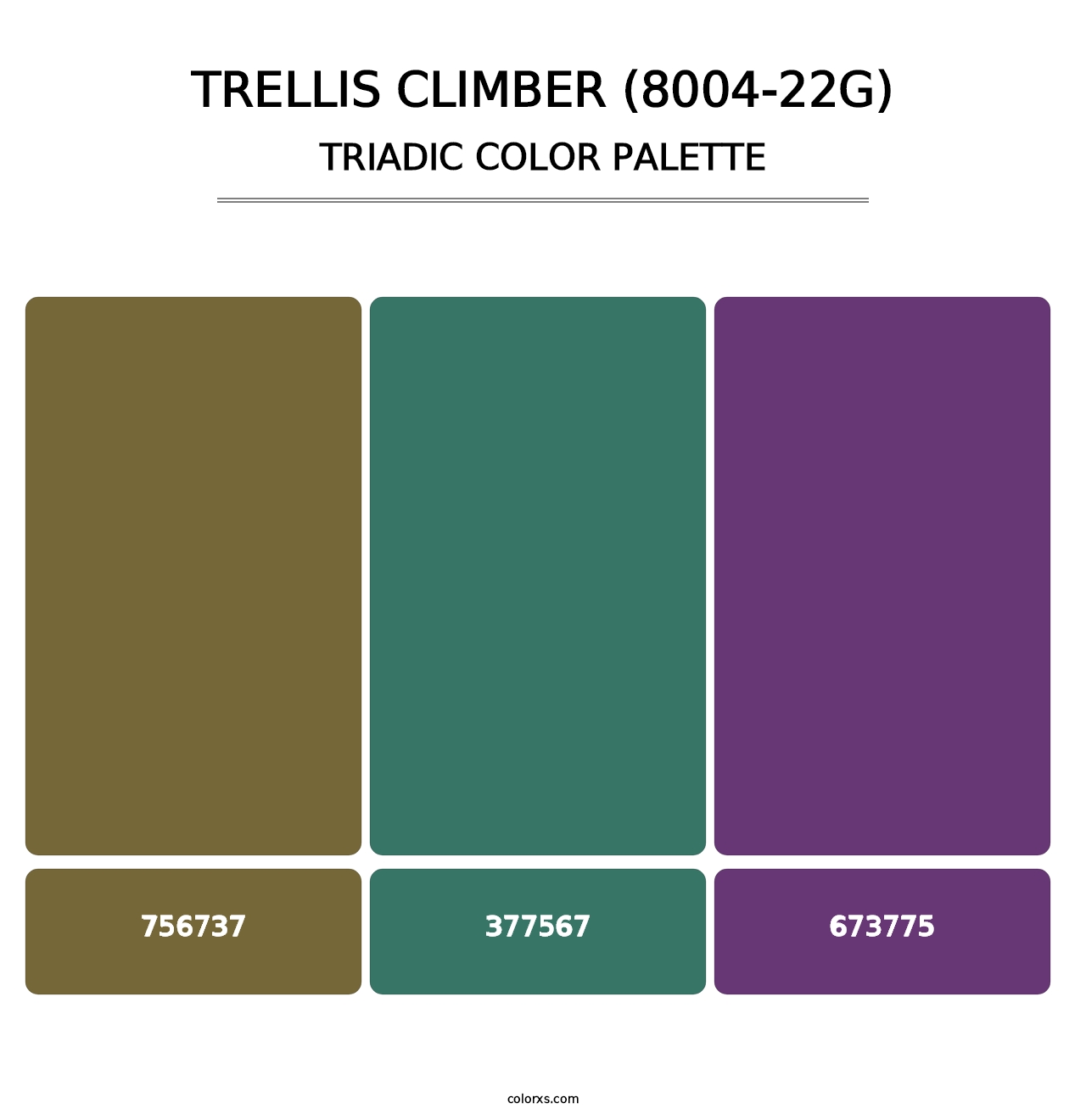 Trellis Climber (8004-22G) - Triadic Color Palette