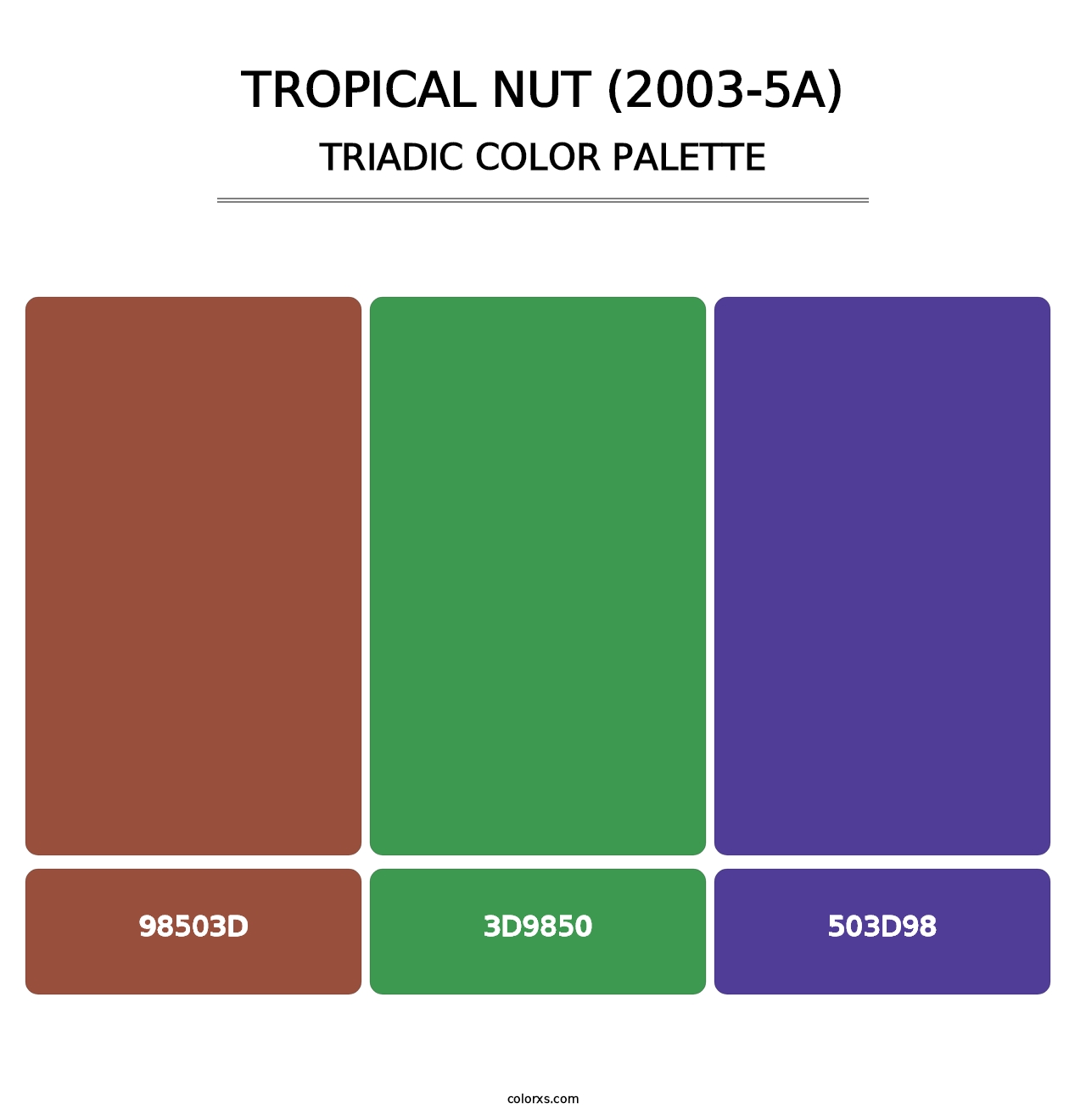 Tropical Nut (2003-5A) - Triadic Color Palette