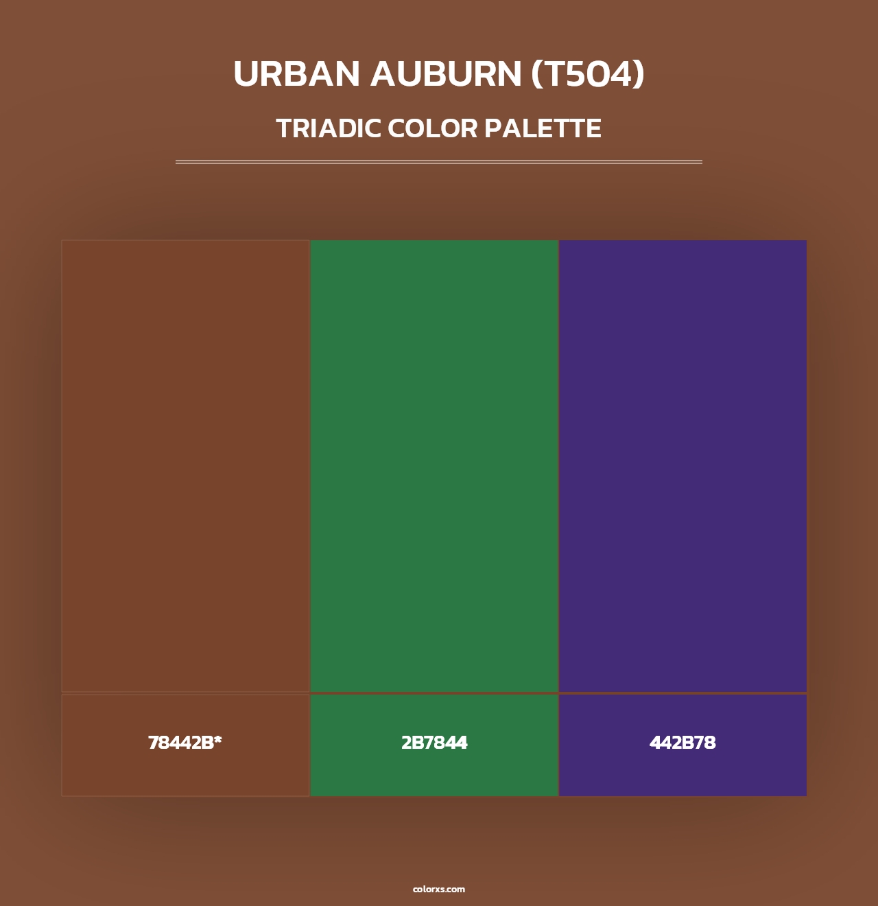 Urban Auburn (T504) - Triadic Color Palette