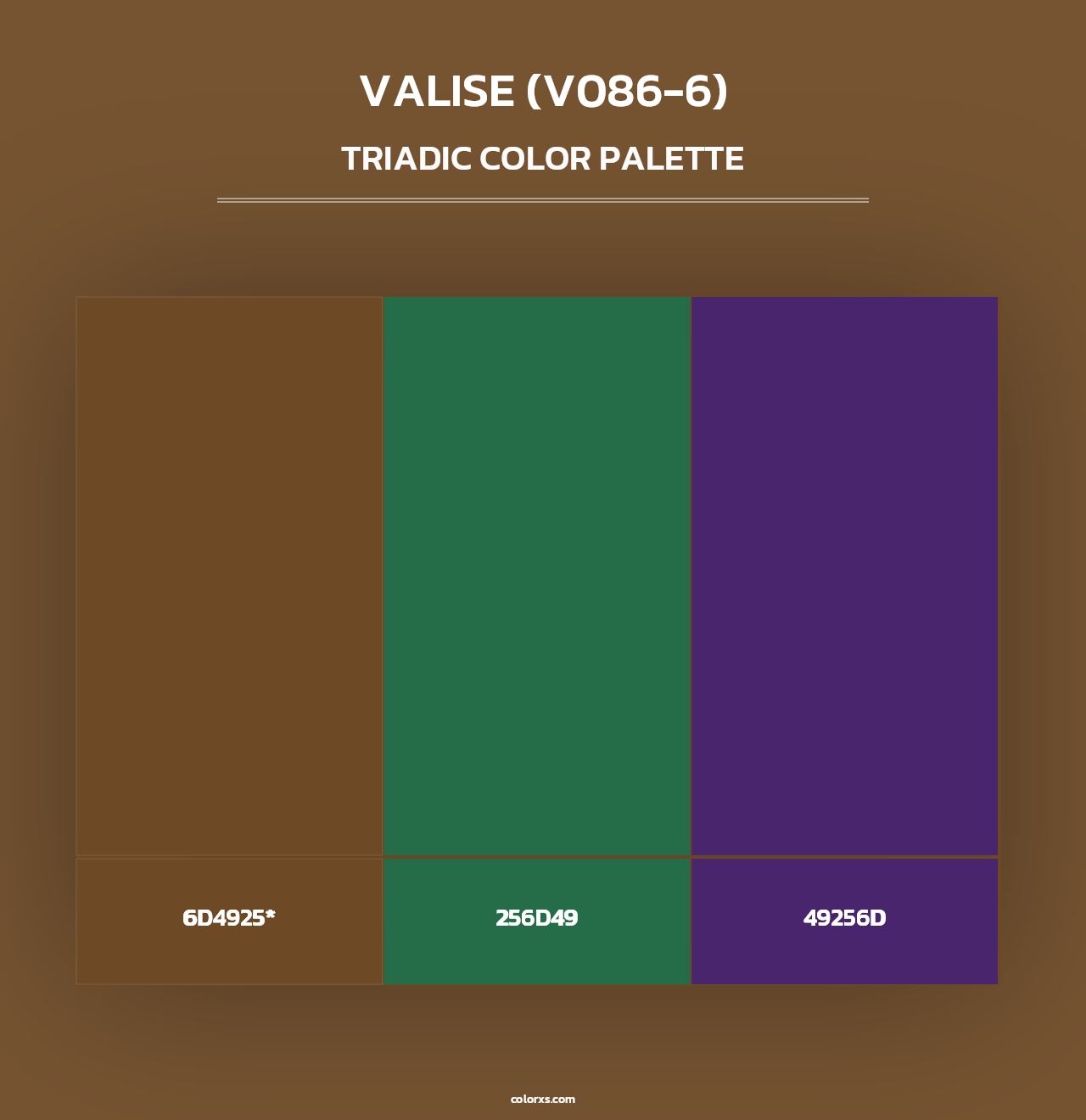 Valise (V086-6) - Triadic Color Palette