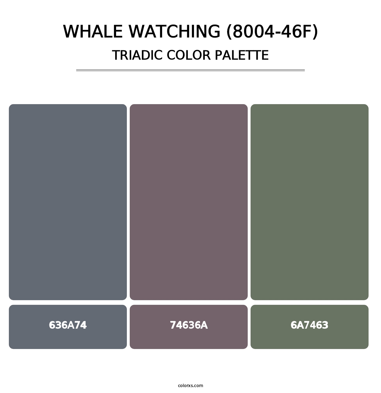 Whale Watching (8004-46F) - Triadic Color Palette