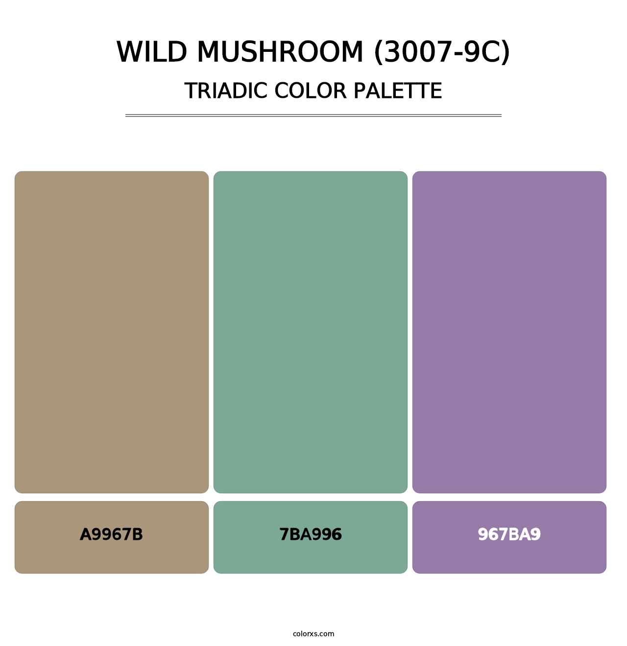 Wild Mushroom (3007-9C) - Triadic Color Palette