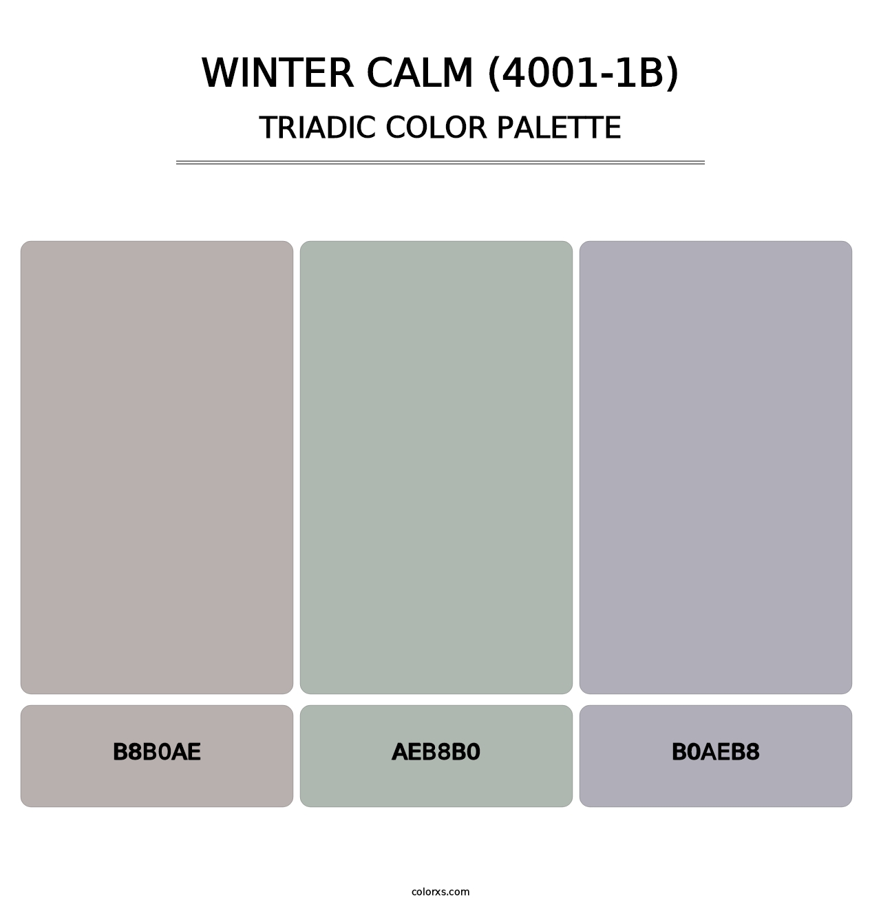 Winter Calm (4001-1B) - Triadic Color Palette