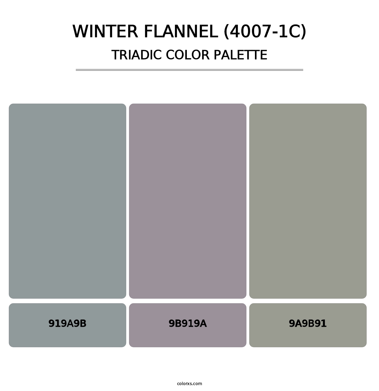 Winter Flannel (4007-1C) - Triadic Color Palette