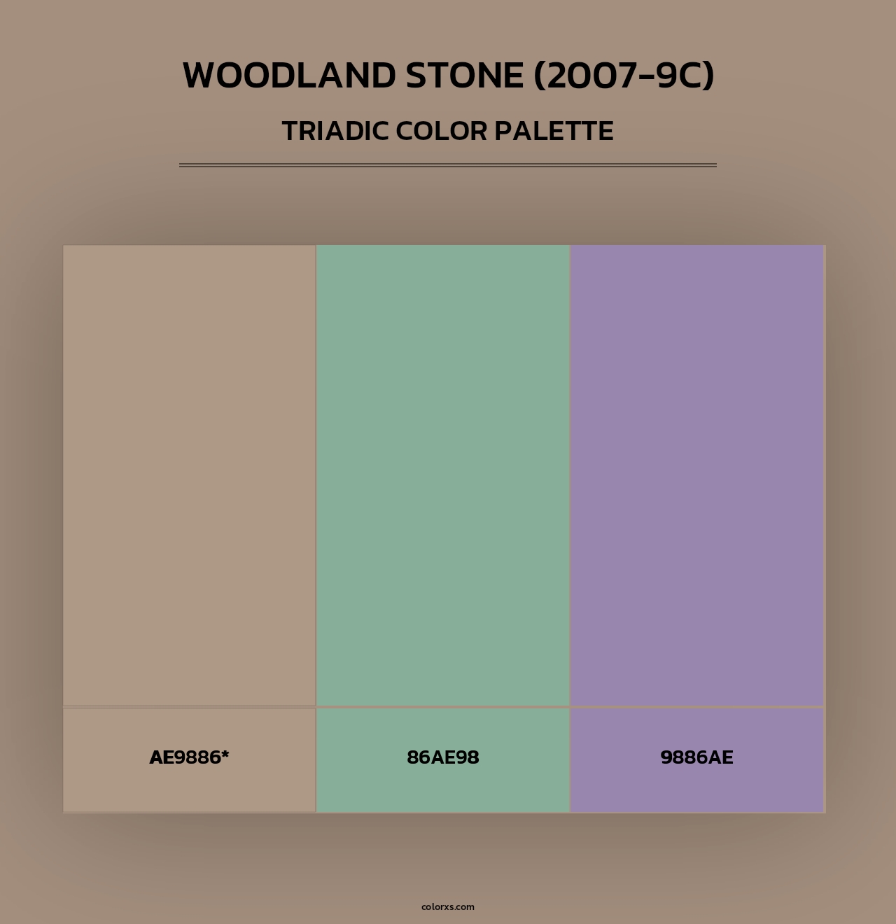 Woodland Stone (2007-9C) - Triadic Color Palette