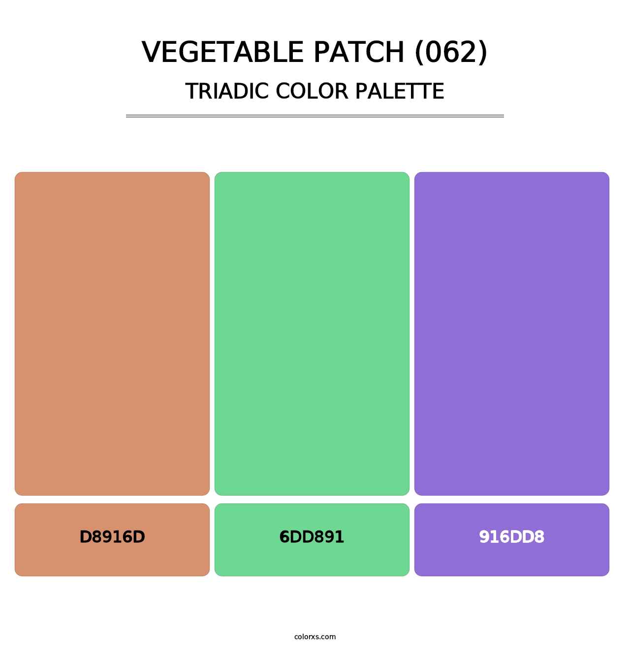 Vegetable Patch (062) - Triadic Color Palette
