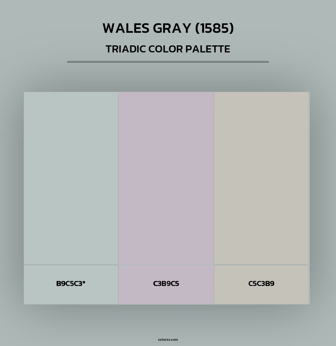 Wales Gray (1585) - Triadic Color Palette