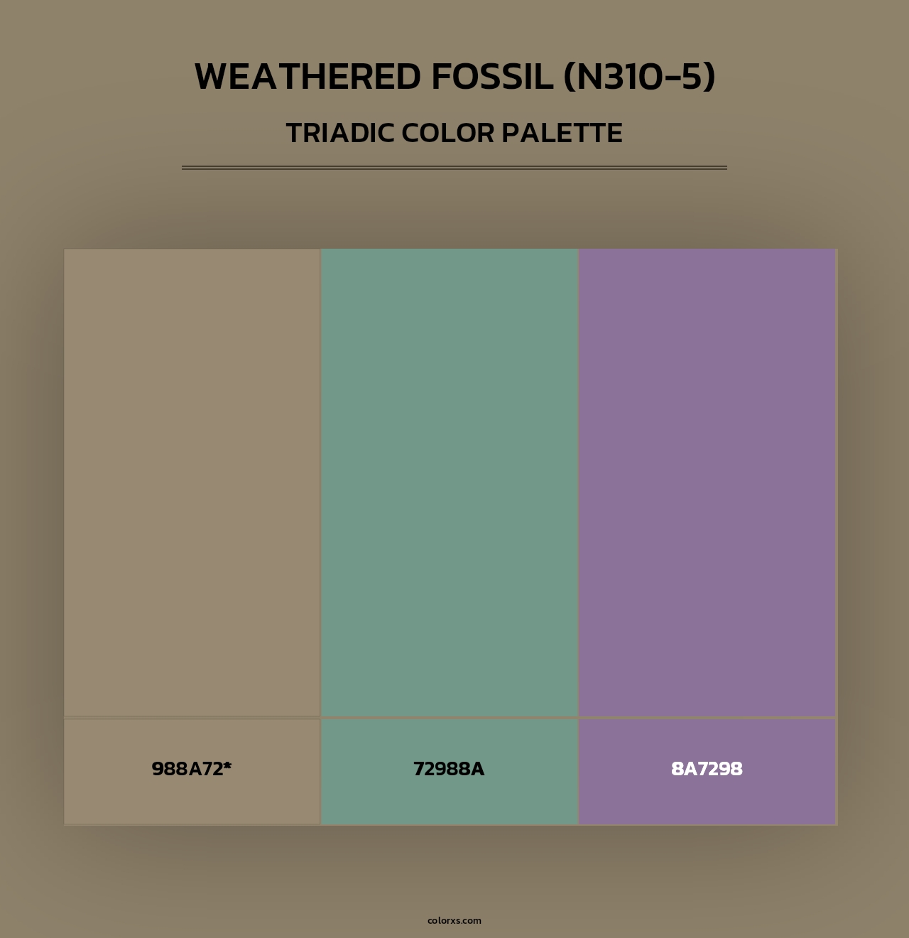 Weathered Fossil (N310-5) - Triadic Color Palette