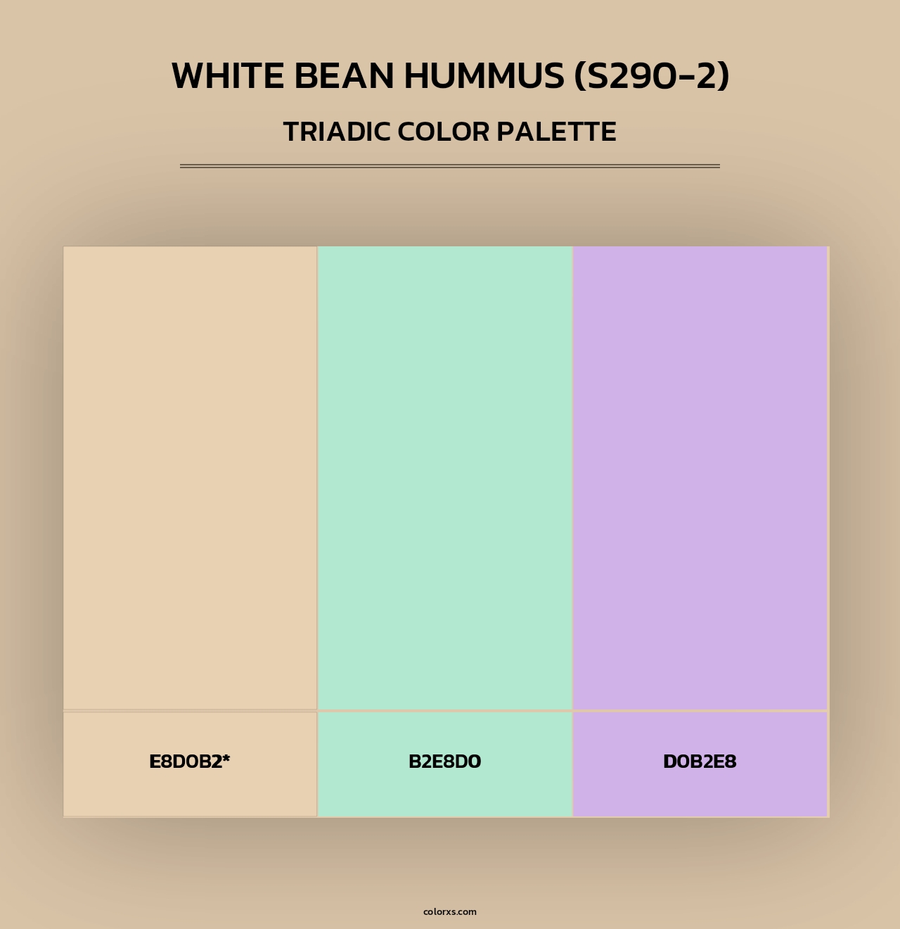 White Bean Hummus (S290-2) - Triadic Color Palette