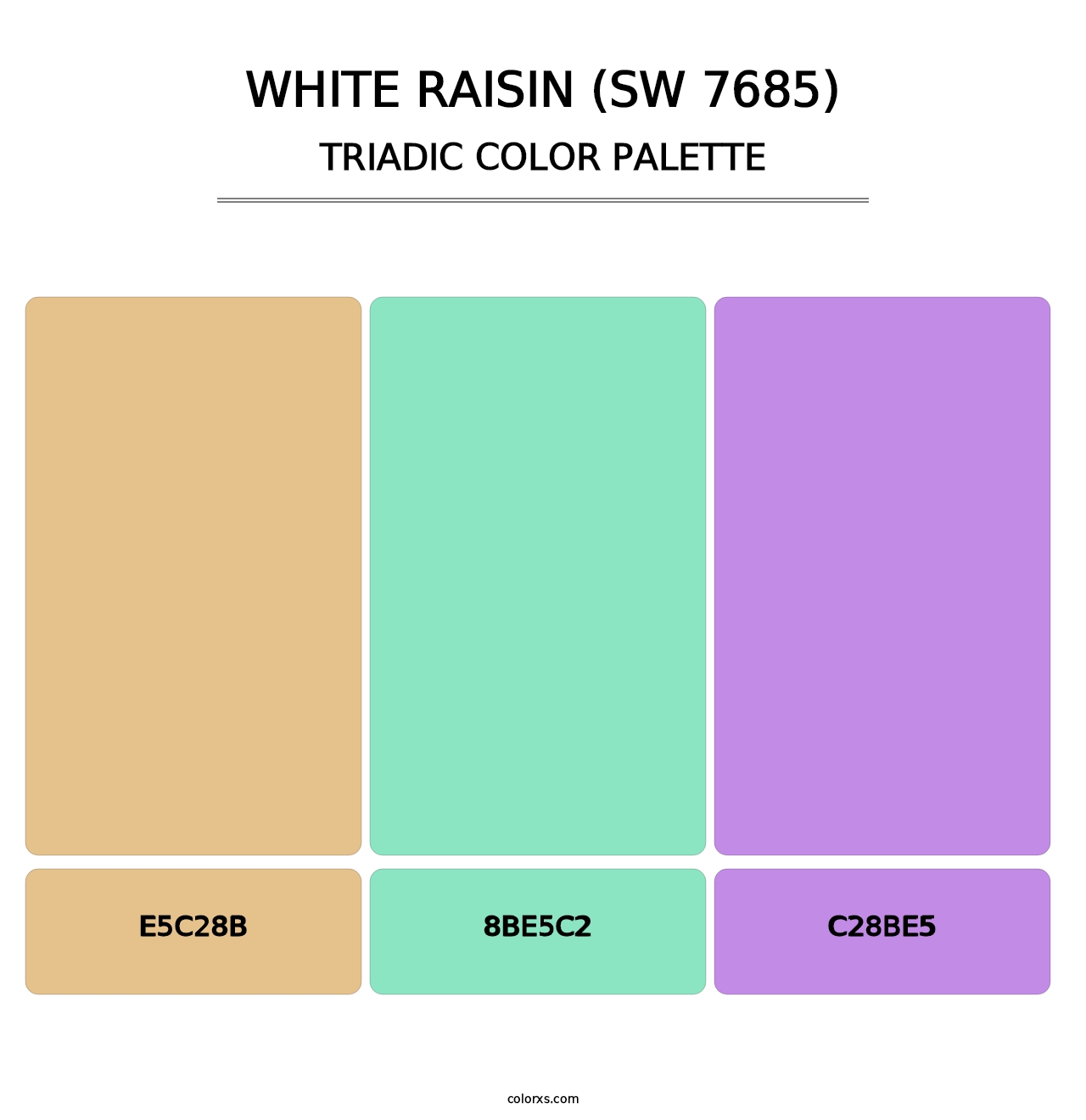 White Raisin (SW 7685) - Triadic Color Palette