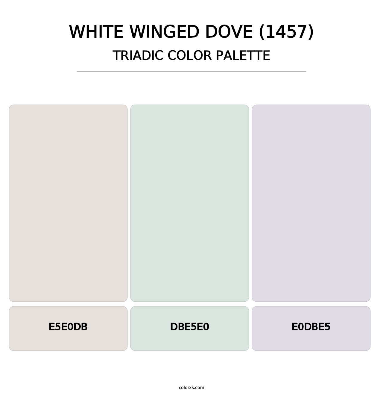 White Winged Dove (1457) - Triadic Color Palette
