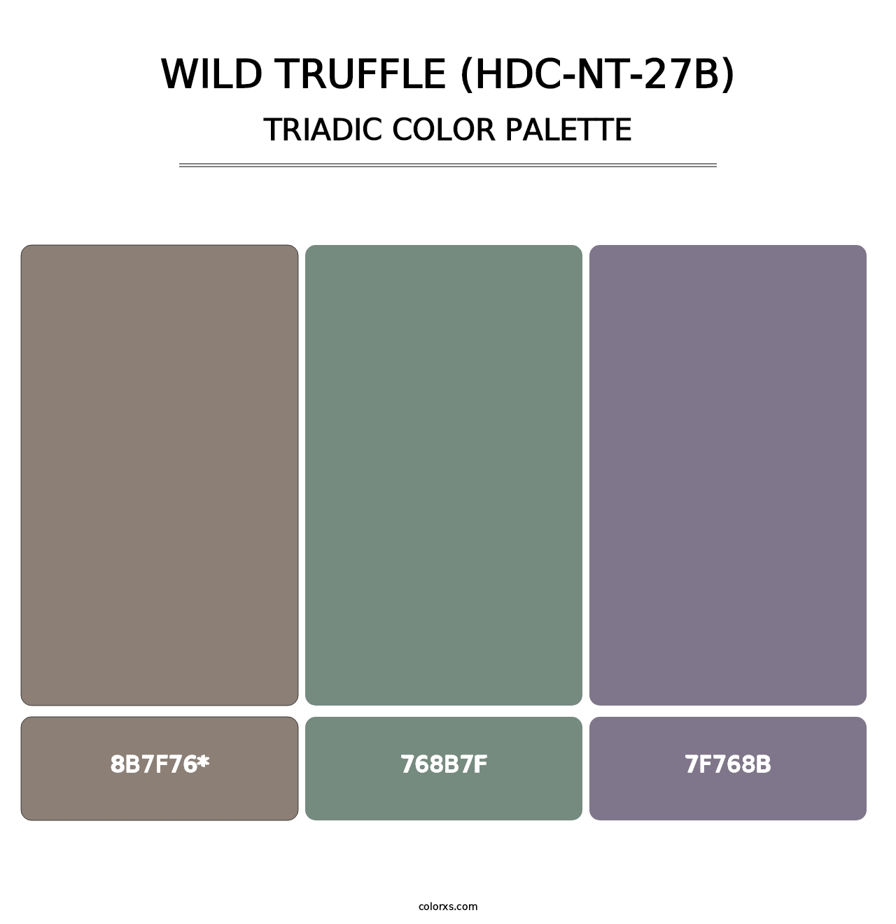 Wild Truffle (HDC-NT-27B) - Triadic Color Palette