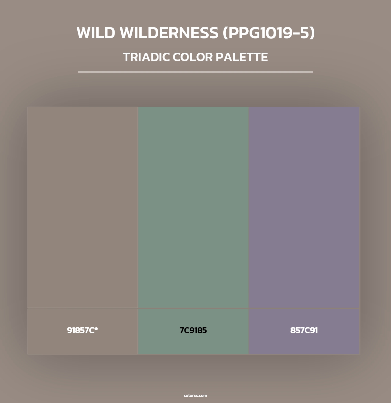 Wild Wilderness (PPG1019-5) - Triadic Color Palette