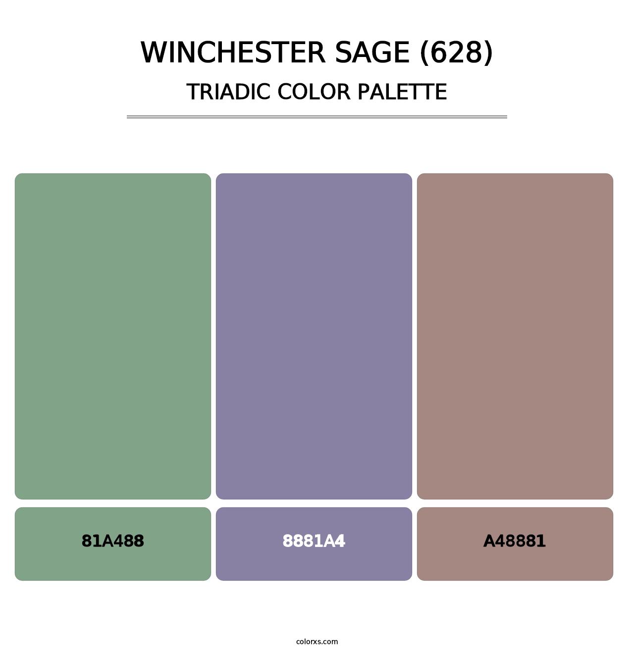 Winchester Sage (628) - Triadic Color Palette
