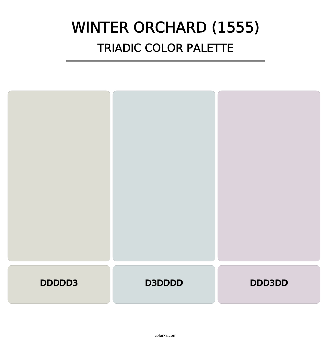 Winter Orchard (1555) - Triadic Color Palette